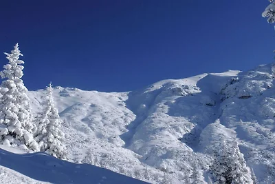 Appartamento a Seefeld vicino a Rosshütte