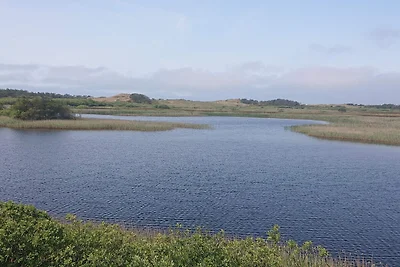 Gemütliches Strandhaus in Vejers