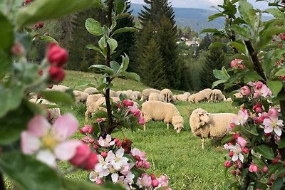 Appartamento per vacanze Kassler