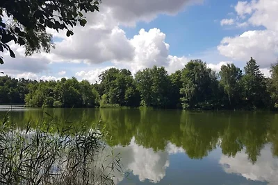 Nella regione (estate) (>5 km) Nella regione (estate) (>5 km)