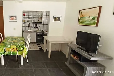 Villa Cactus Salvador Brasilien