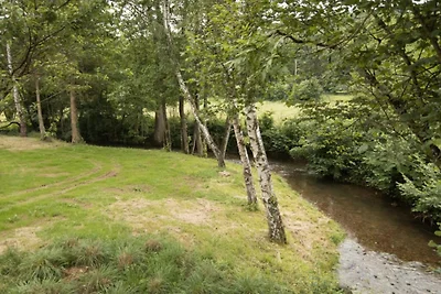 Ferienhaus mit Garten in Vieuxville