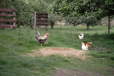Kuća za odmor Dopust za oporavak Lohmen