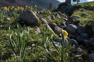 Wohnung in Pla d’Adet nahe Skipisten