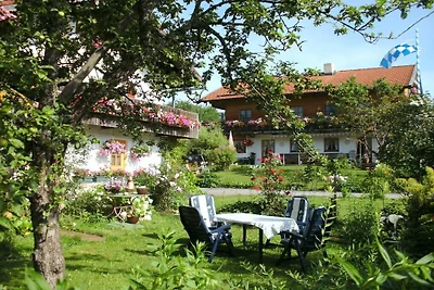 Enzian im Ferienhaus Wendelstein