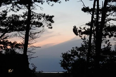 8 persone case ad Vig-By Traum