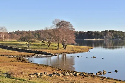 6 persoons vakantieparkhuis in Myggenäs