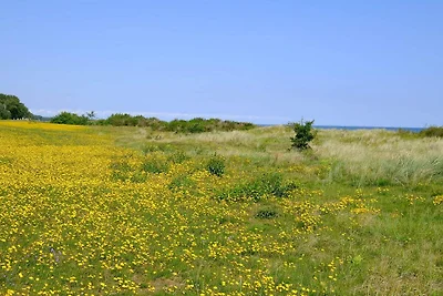 4 Personen Ferienhaus in Gedser