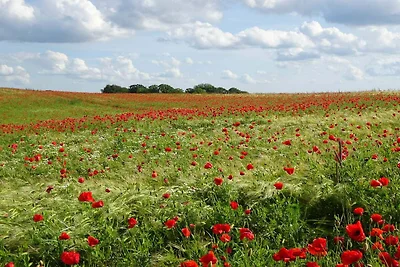 Strandgluck in Kelstrup -- By Traum...