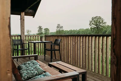 Gemütliche Lodge mit Whirlpool in Drenthe