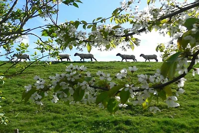Ferienhaus mit 5 Schlafzimmer