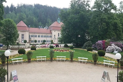 Wohnung mit Terrasse in Sachsen