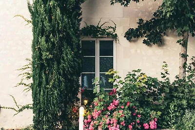 Wohnung in La Roche-Posay nahe Thermalbad