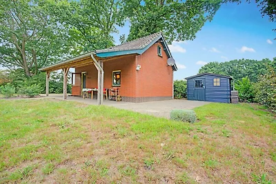 Ferienhaus in Schijf mit Garten
