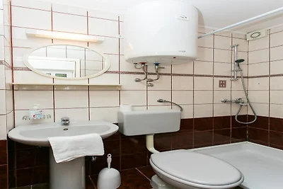 Apartments Anelić- One Bedroom Apartment with...