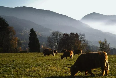 Appartamento a Belledonne con Vista