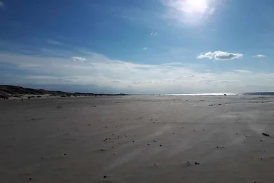 FelicitaÌ€ marina a Saltum Strand-By Traum