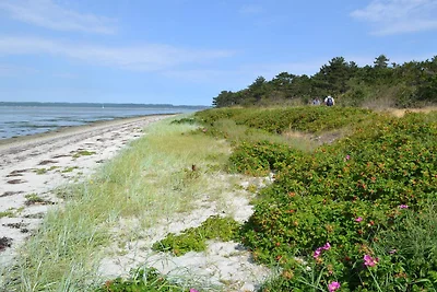 6 persoons vakantie huis in Ebeltoft-By Traum