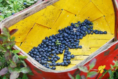 4 Personen Ferienhaus in KODE