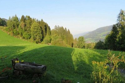 Rifugio Schernthaner