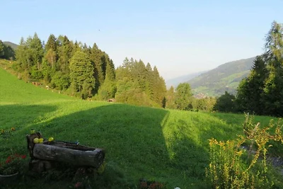 Schernthaner Komfortable Ferienresidenz