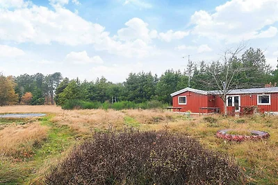 6 Personen vakantie huis in Ålbæk-By Traum