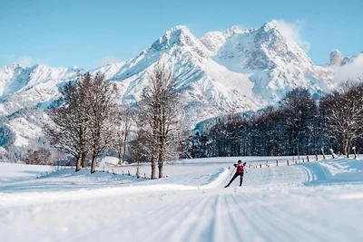 Wohnung in Flachau nahe Skipisten