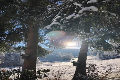 Ritiro sullo stagno a Winterberg