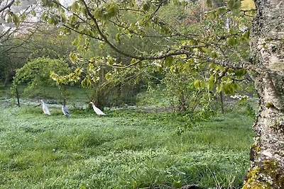 Ökologischer Bauernhof mit 3 Schlafzimmer