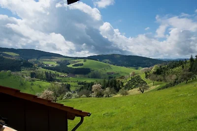 Kuća za odmor Dopust za oporavak Zell am Harmersbach