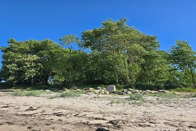 8 Personen Ferienhaus in Nordborg-By Traum