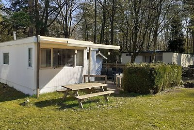 Geräumiges Ferienhaus in Vledder in den Wälde...