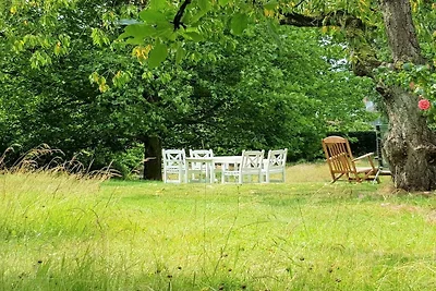 Reetdachkate in der Wiese