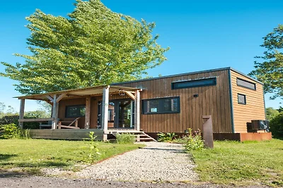 Ferienhaus in Scherpenzeel
