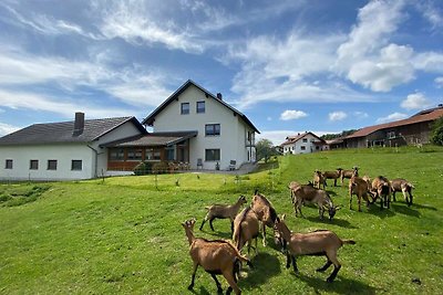 Charmante Ferienwohnung im Bayerischen Wald