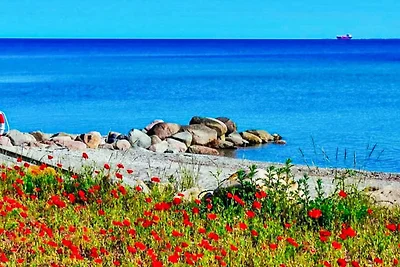 6 Personen Ferienhaus in Otterup-By Traum