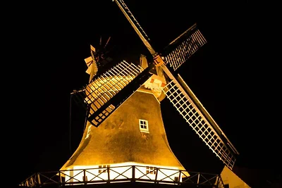 Seehund Komfortable Ferienresidenz