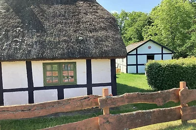 6 Personen Ferienhaus in Læsø