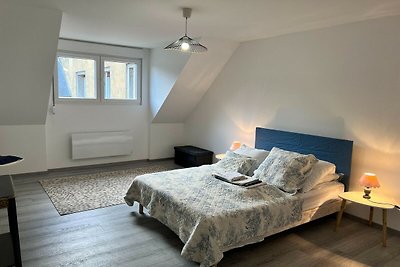 Renovierte Wohnung im Zentrum von Sedan