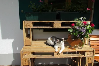 Ferienwohnung mit 2 Schlafzimmer