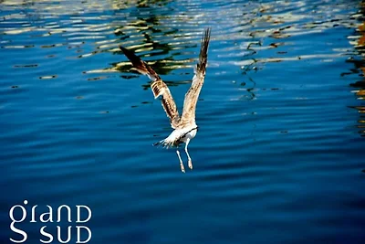 Wohnung in Le Grau-du-Roi am Strand