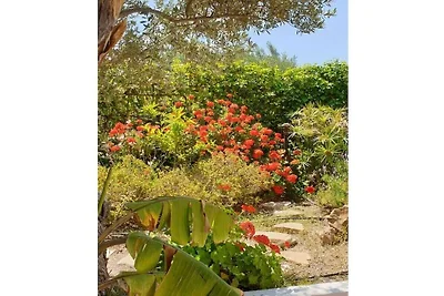 Villa in Pitsidia mit Schwimmbecken
