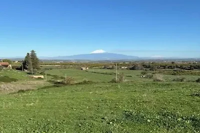 Case su una collina circondata da ulivi