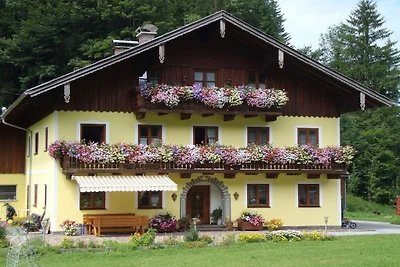 Almgut Farm || Faistenau
