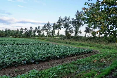 Wohnung in Vrouwenpolder am Strand