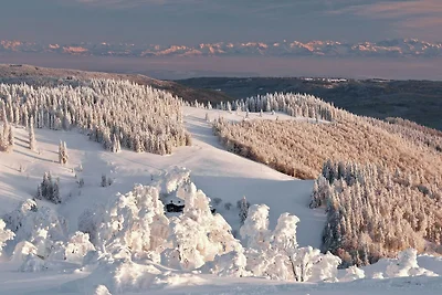 Wohnung in Bernau im Schwarzwald mit Talblick