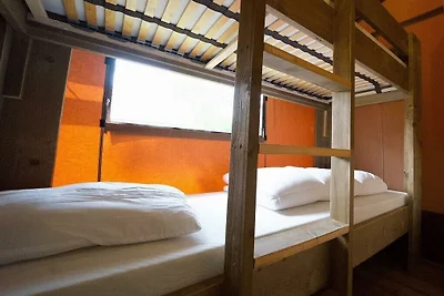 Vakantiehuis in Noord-Scharwoude met Wi-Fi
