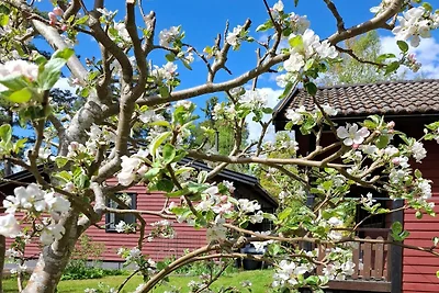 4 Sterne Ferienhaus in NORRTÄLJE