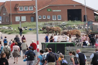 Ferienwohnung Shalom, Hus Blinkfuer 202