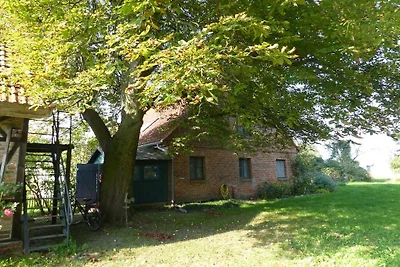 Holiday home in Bugewitz with swimming pool